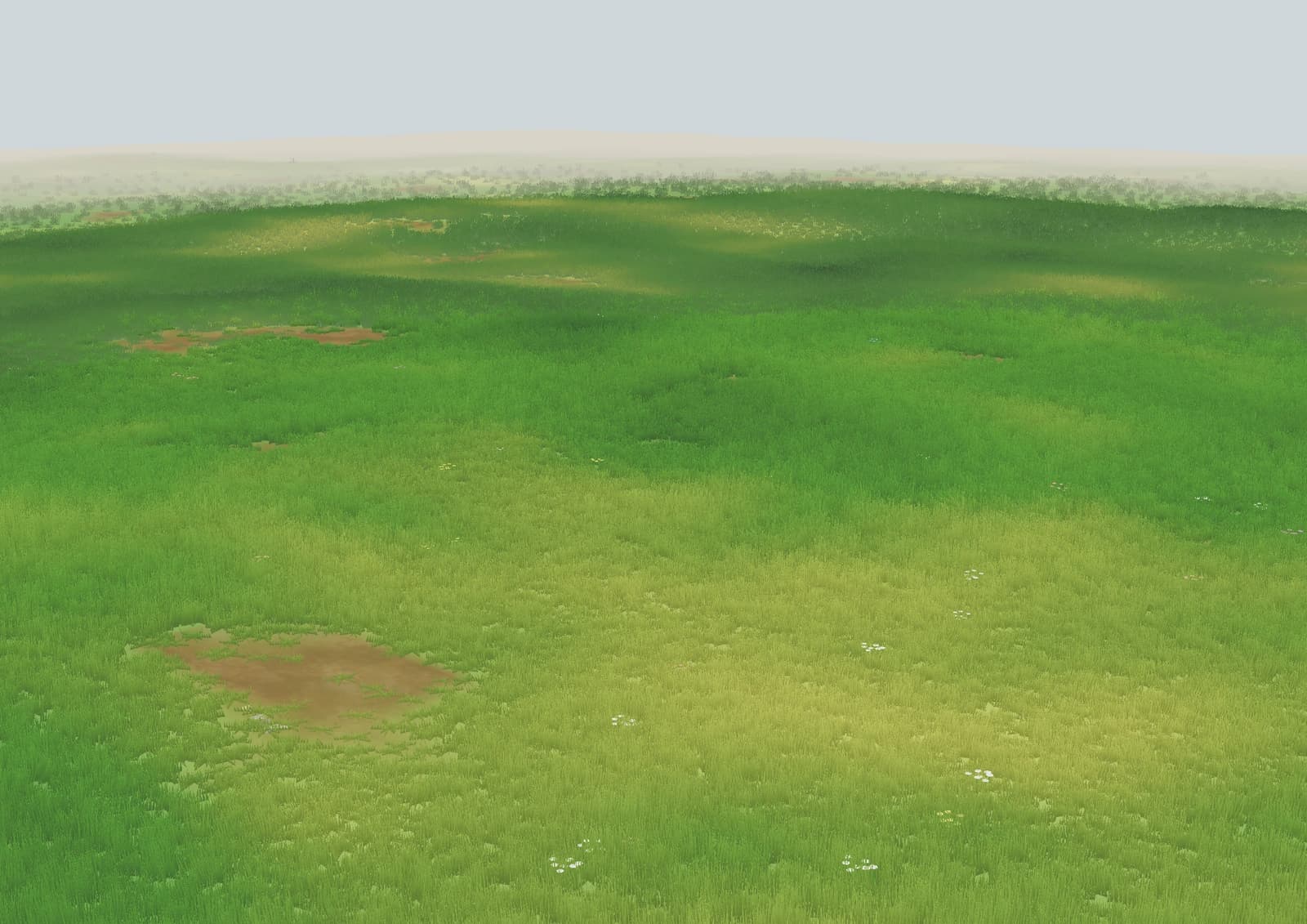 An empty voxel meadow ready for a new building